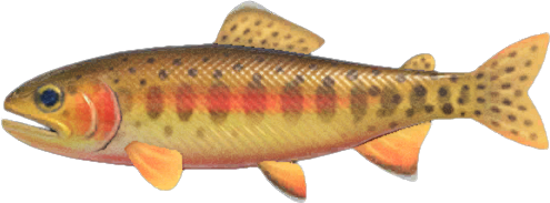Animal Crossing Golden Trout Image