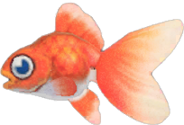 Animal Crossing Goldfish Image