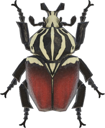 Animal Crossing Goliath Beetle Image