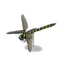 Grand B. Dragonfly Model