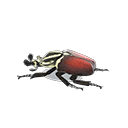 Animal Crossing Grand Goliath Beetle Model Image