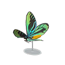 Grand Q. A. Birdwing Model