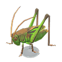 Grasshopper Model