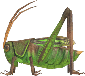 Animal Crossing Grasshopper Image