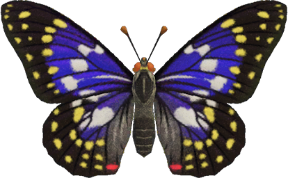 Animal Crossing Great Purple Emperor Image