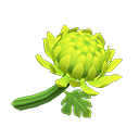 Animal Crossing Green Mums Image