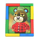 Animal Crossing Grizzly's Photo|Colorful Image