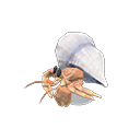 Animal Crossing Hermit Crab Model Image