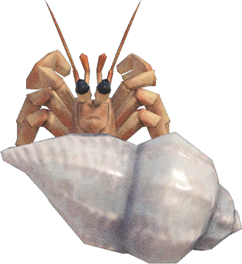 Hermit Crab