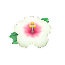 Hibiscus Hairpin White