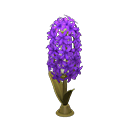 Hyacinth Lamp Purple