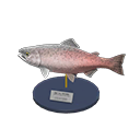  King Salmon Model