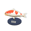 Koi Model