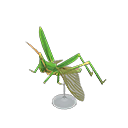 Animal Crossing Long Locust Model Image