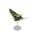 Animal Crossing M. Sunset Moth Model Image