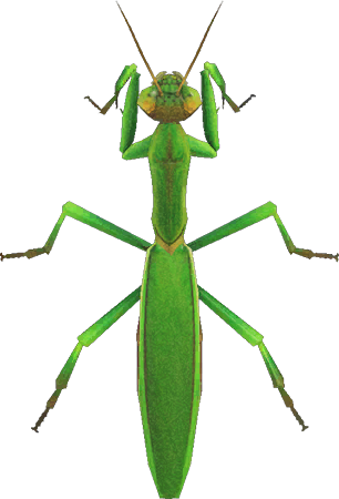 Animal Crossing Mantis Image