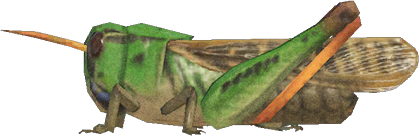 Animal Crossing Migratory Locust Image