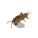 Animal Crossing Mole Cricket Model Image