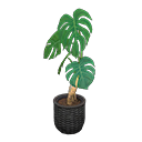 Animal Crossing Monstera|Black Image