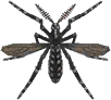 Animal Crossing Mosquito Image