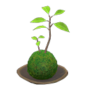 Animal Crossing Moss Ball Image