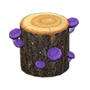 Mush Log Strange mushroom