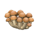 Animal Crossing Mush Partition|Ordinary mushroom Image