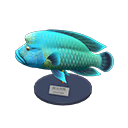 Animal Crossing Napoleonfish Model Image
