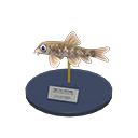 Animal Crossing Nibble Fish Model Image