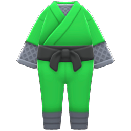 Ninja Costume Green