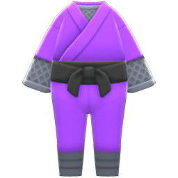 Ninja Costume Purple