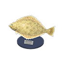 Animal Crossing Olive Flounder Model Image