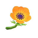 Animal Crossing Orange Windflowers Image
