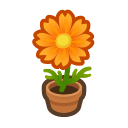 Animal Crossing Orange-cosmos Plant Image