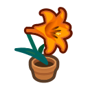 Animal Crossing Orange-lily Plant Image