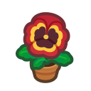 Animal Crossing Orange-pansy Plant Image