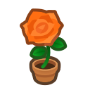 Animal Crossing Orange-rose Plant Image