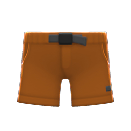 Outdoor Shorts Brown