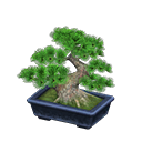 Animal Crossing Pine Bonsai Tree Image