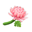 Animal Crossing Pink Mums Image