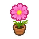 Animal Crossing Pink-cosmos Plant Image
