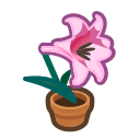 Animal Crossing Pink-lily Plant Image