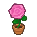 Animal Crossing Pink-rose Plant Image