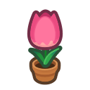 Animal Crossing Pink-tulip Plant Image