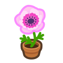 Animal Crossing Pink-windflower Plant Image