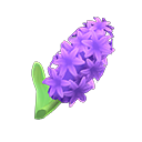 Purple Hyacinths