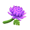 Animal Crossing Purple Mums Image