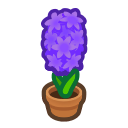 Animal Crossing Purple-hyacinth Plant Image