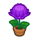 Animal Crossing Purple-mum Plant Image