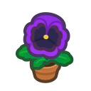 Animal Crossing Purple-pansy Plant Image